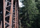 bungee10