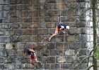 bungee102