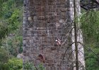 bungee105
