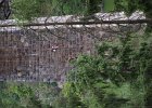 bungee106