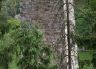 bungee107