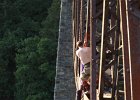 bungee14
