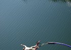 bungee19