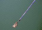 bungee22