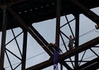bungee37