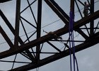 bungee38