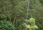 bungee42