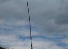 bungee46