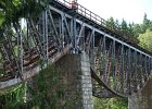 bungee7