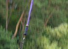 bungee72