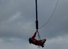 bungee81
