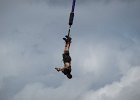 bungee89