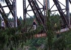 bungee95