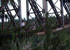 bungee96