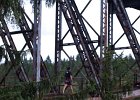 bungee97