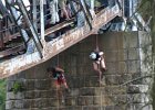 bungee99