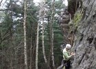oberveg04210