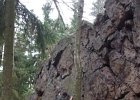 oberveg0421015