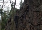 oberveg0421017
