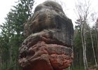oberveg0421024