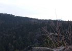 oberveg0421025