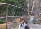 oberveg0421029