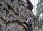 oberveg0421033