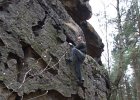 oberveg0421034