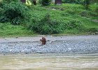 022 Sumatra Bukit Lawang