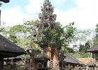 017 Bali Ubud