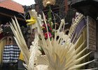 022 Bali Ubud