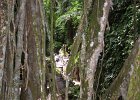 070 Bali Ubud