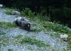 dovolenaleto201025