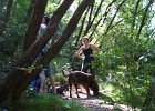 dovolenaleto201082