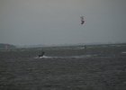 kitewiek200931