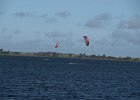 kitewiek20095